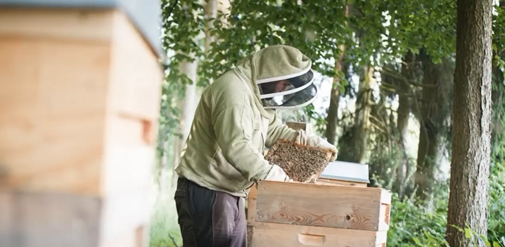 Bienen Max